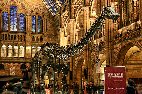 Natural History Museum Excursion