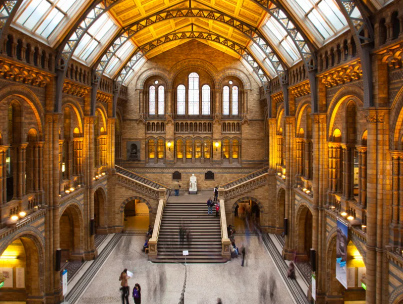 QMU, Excursions – The Natural History Museum