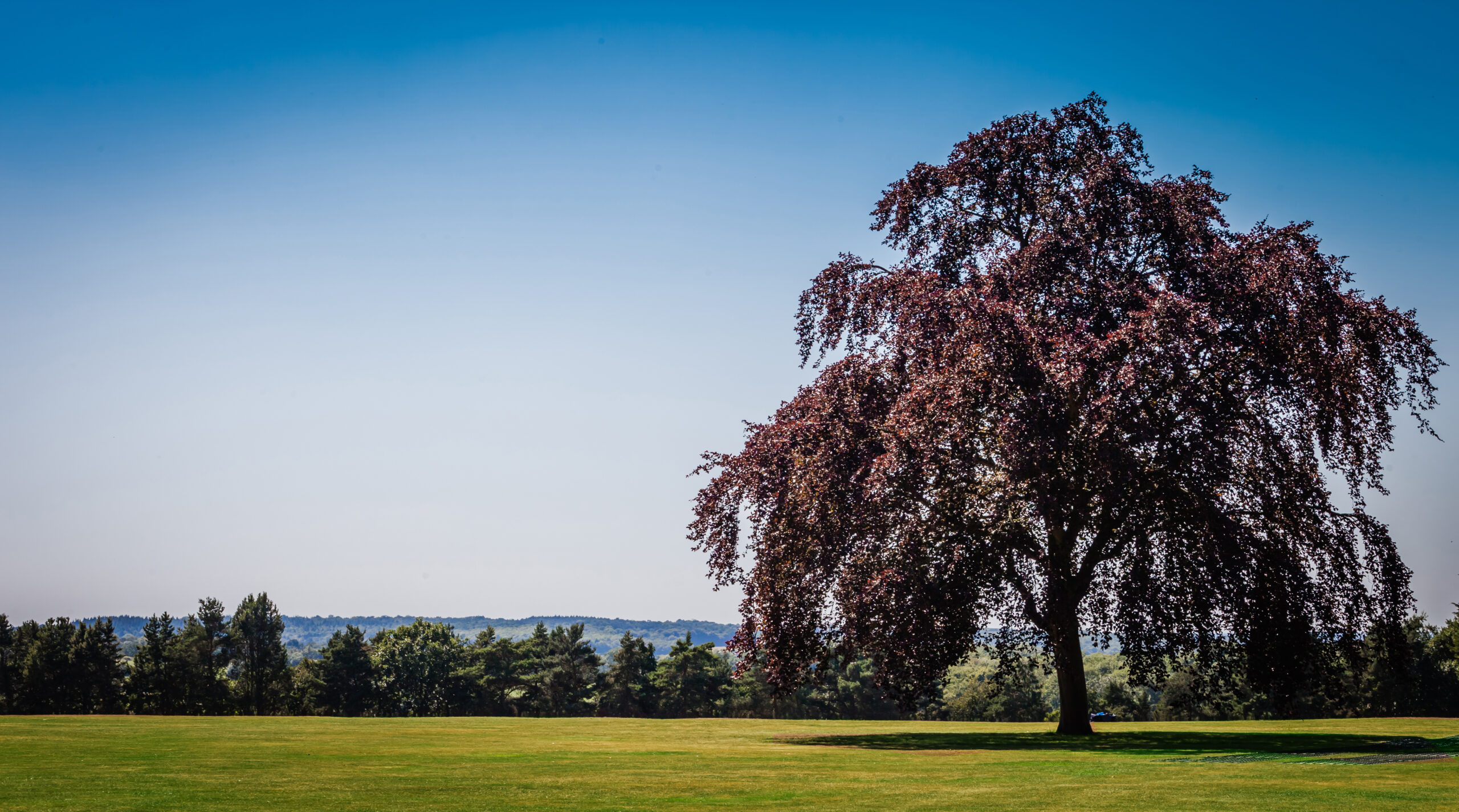 Hatfield, Queenswood School - Grounds